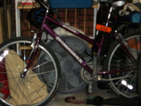 Diamondback Outlook