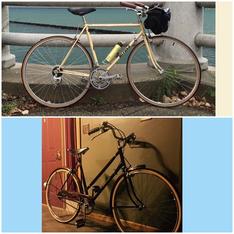 Miyata 710