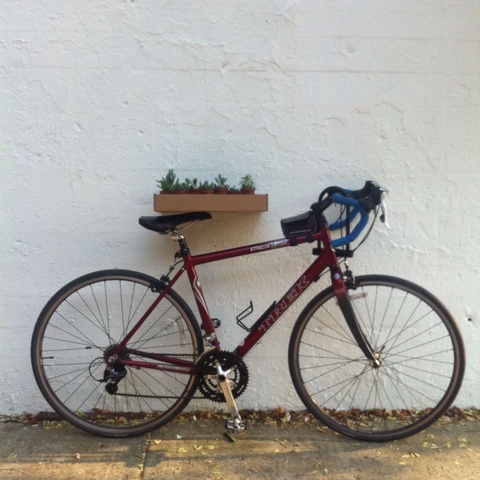 2006 Trek Pilot 1.2