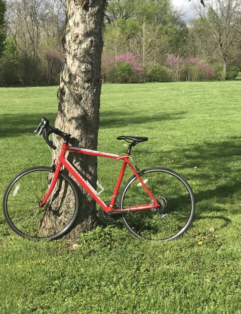 Schwinn Fastback Road Bike