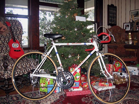 1976 Schwinn Varsity