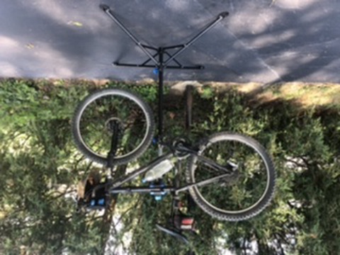Specialized stump jumper 