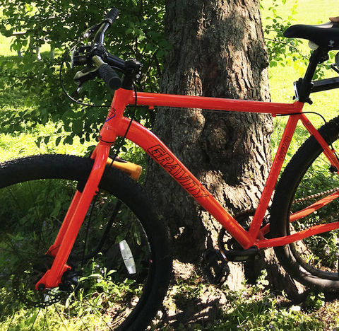 Gravity 29er Single Speed