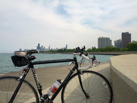 Schwinn 564