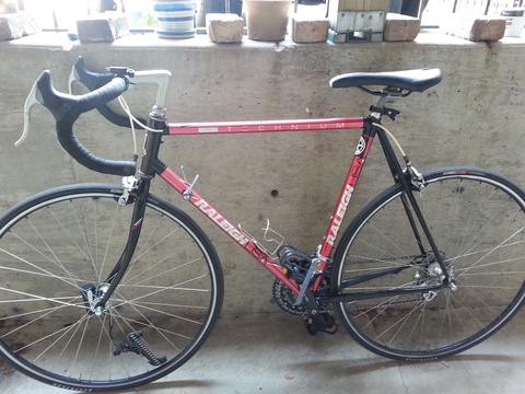 1990 Raleigh Technium Pro