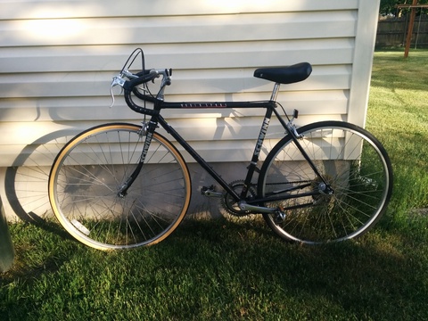 Schwinn World Sport