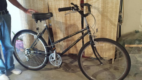 Schwinn,  Cruiser