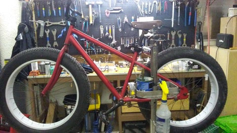 Mongoose Beast