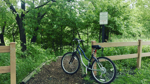 Schwinn Landmark