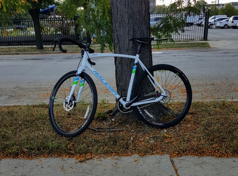 Raleigh RXS