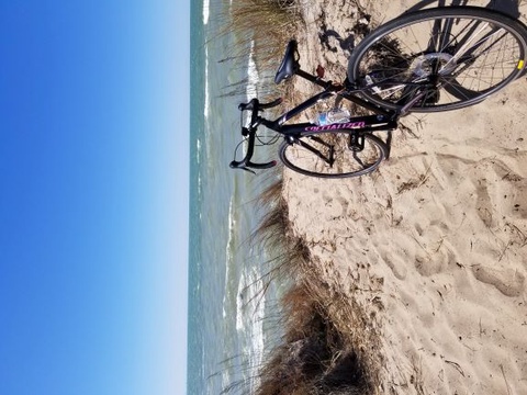 Specialized Dolce