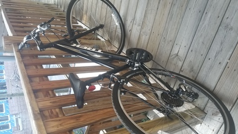 Trek Fx 1