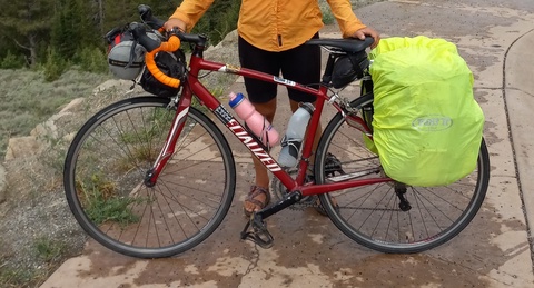 specialized dolce