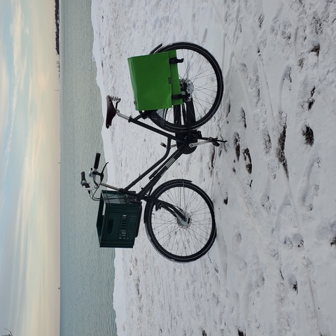 Workcycles Secret Service
