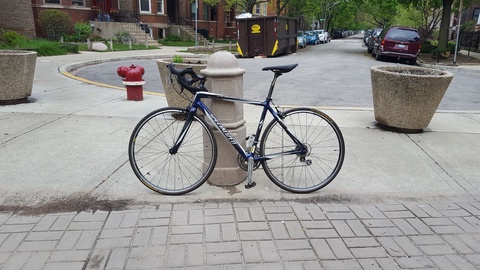 Specialized Roubaix 