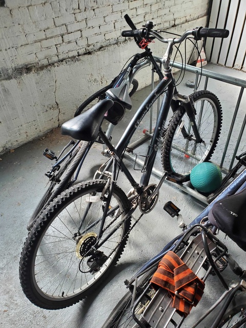 Schwinn Clear Creek