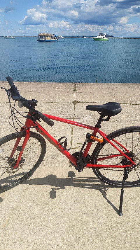 Trek FX2 (2024) 