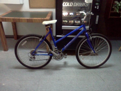 Women's Schwinn