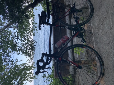 Fuji Roubaix Pro