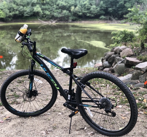 Huffy Nighthawk 