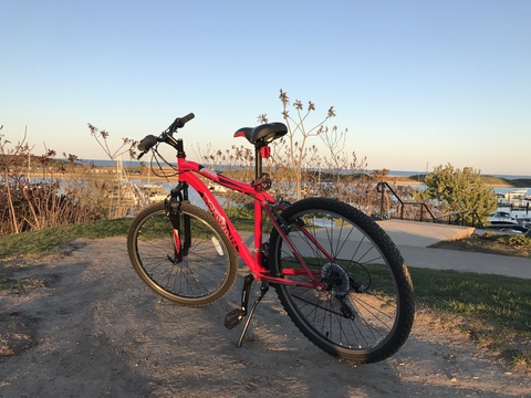 Schwinn