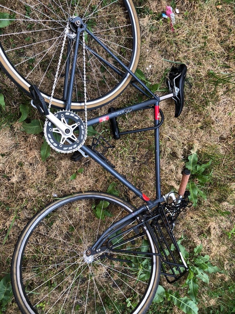 Schwinn 
