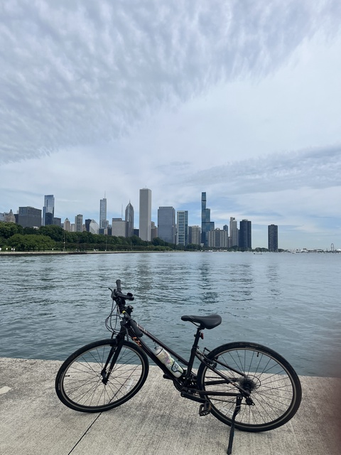 Liv hybrid bike