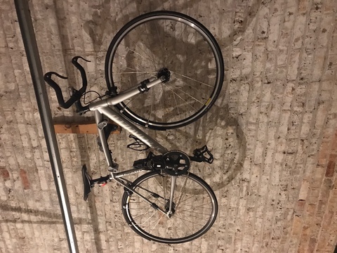Specialized Langster