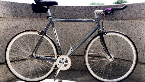Fuji Feather