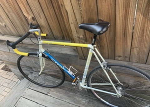  Nishiki racing bike 