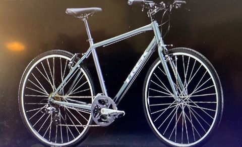 Trek FX1
