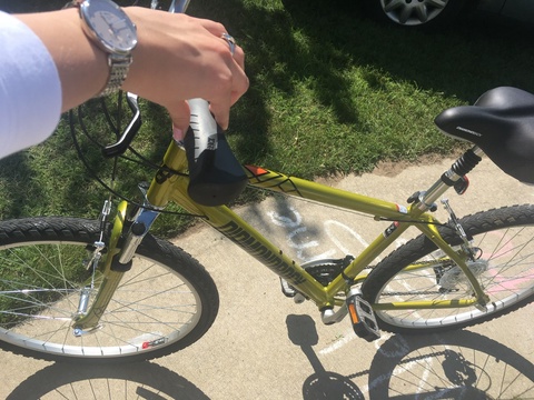 Diamondback WildWood classic comfort bike