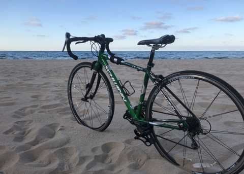 Schwinn Le Tour