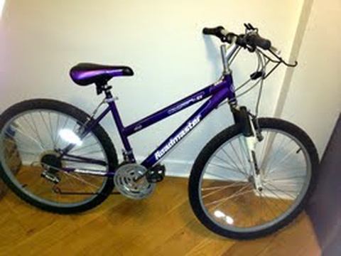 Roadmaster MT Sport SX