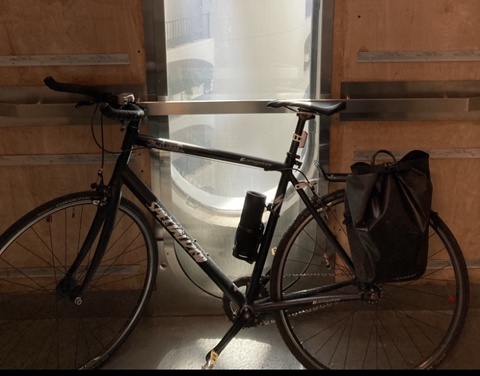 Specialized Langster