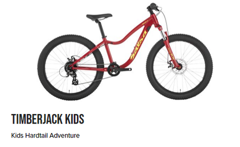 2020 Salsa Timberjack 24” Sus