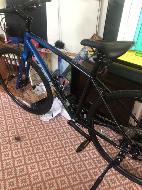 Trek FX3 