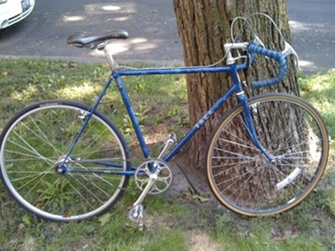 Blue Trek Road Bike - older - model 720?