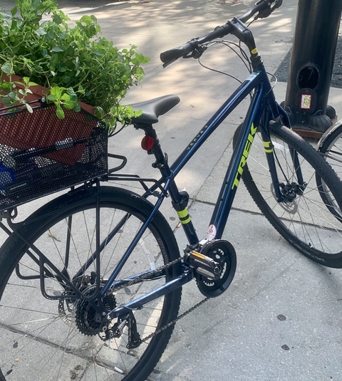 Trek Verve 3
