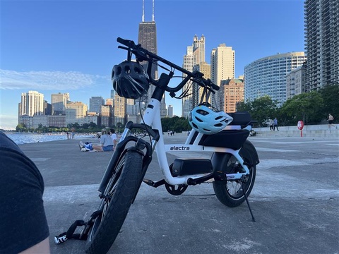 Trek Electra Ponto Go