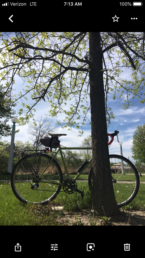Surly cross check