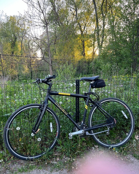 Trek 7.5 FX Livestrong