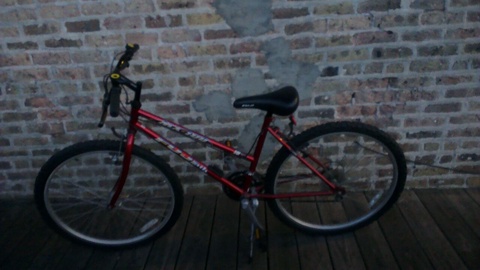 Fuji MX 100