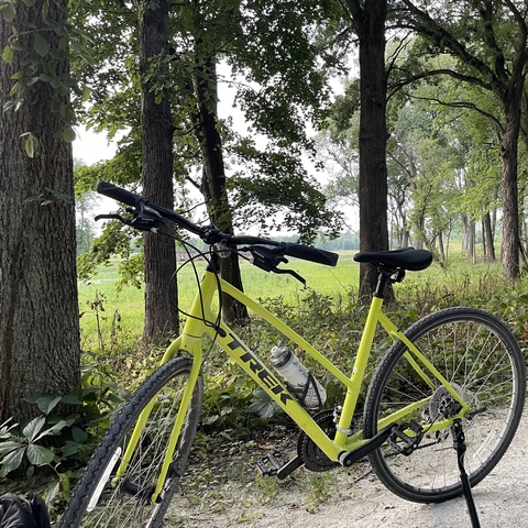 Trek FX1 Stagger Disc