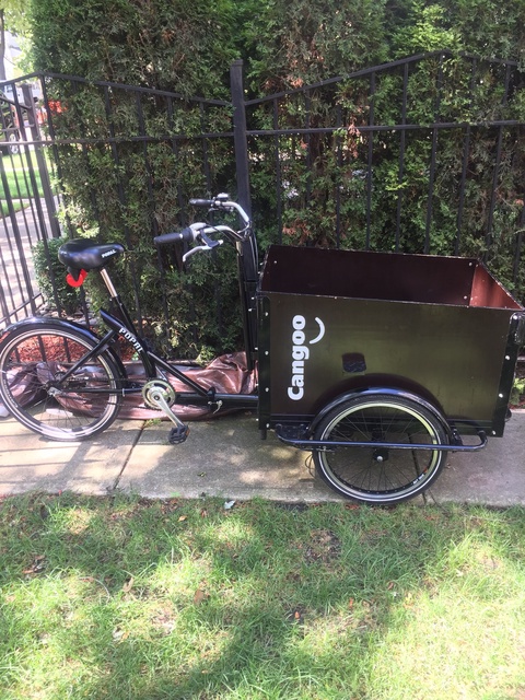Cangoo Cargo trike