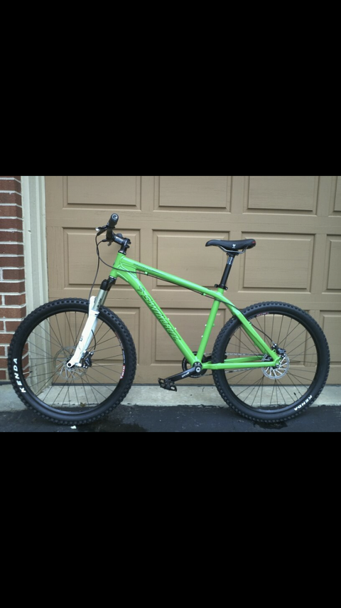 Santa Cruz Chameleon