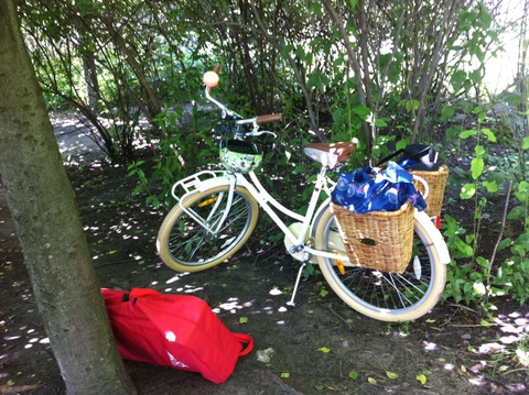 Republic Bikes Pluto