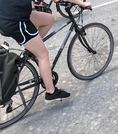 Jamis Coda Sport