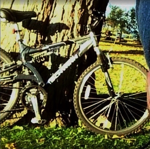 SCHWINN