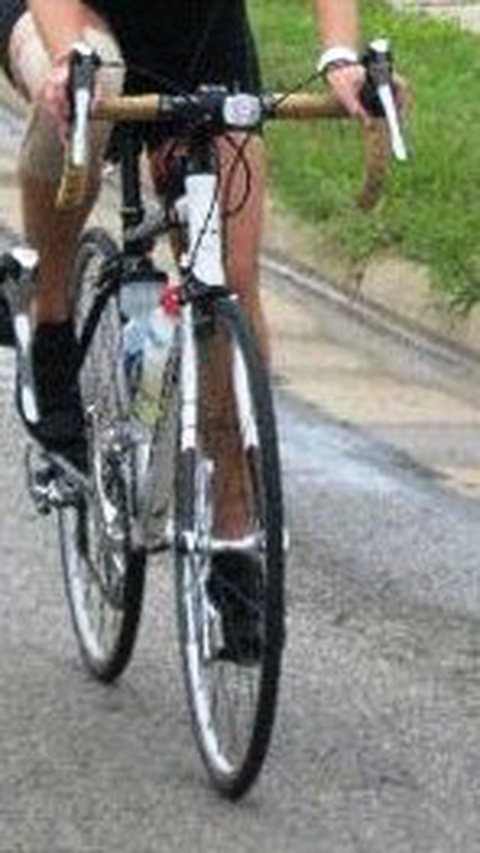 Schwinn Fastback